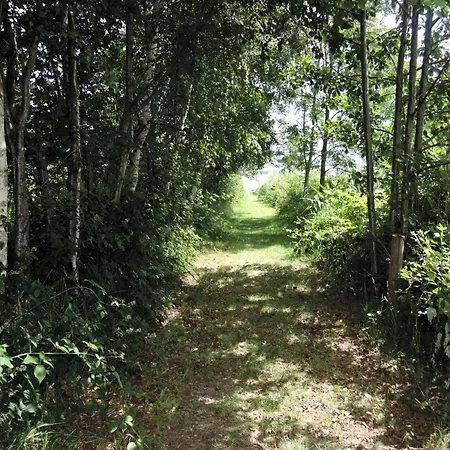 Lakeside Escape By Wolin National Park Appartamento