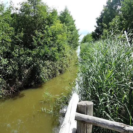 Lakeside Escape By Wolin National Park * Kolczewo
