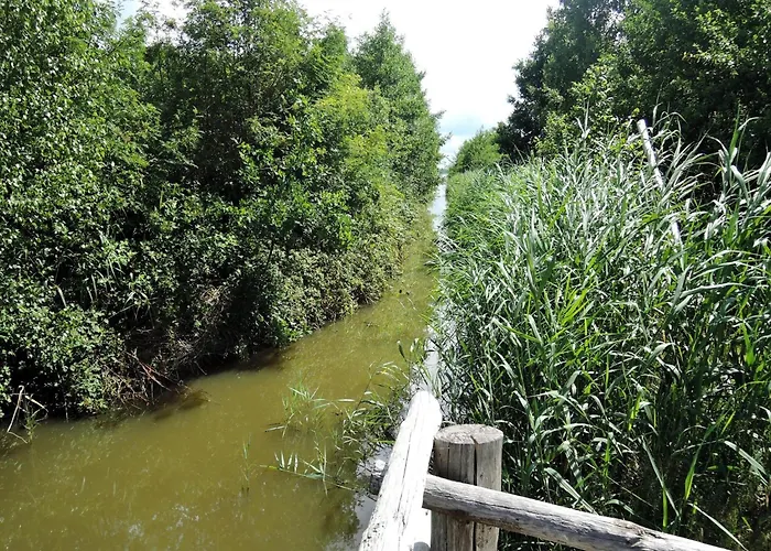 Lakeside Escape By Wolin National Park * Kołczewo